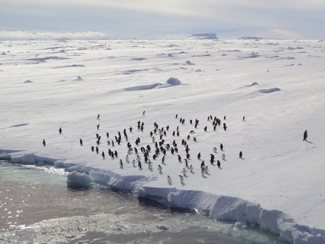 Photo Terres Australes et Antarctiques Françaises